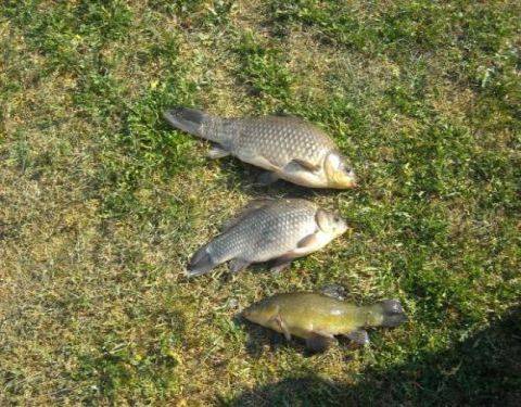 Ośrodek Wypoczynkowy KACPER BRENNO