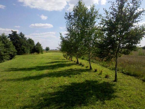 Mikoszewo wczasy nad morzem