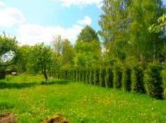 Agroturystyka - Noclegi OKey