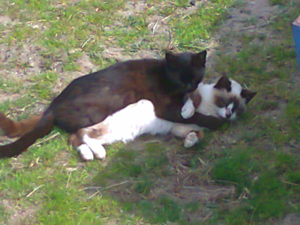 Agroturystyka w zagrodzie U ALI