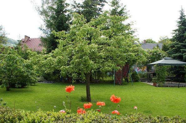 Pokoje Gościnne Sobiesz