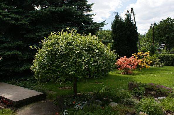 Pokoje Gościnne Sobiesz