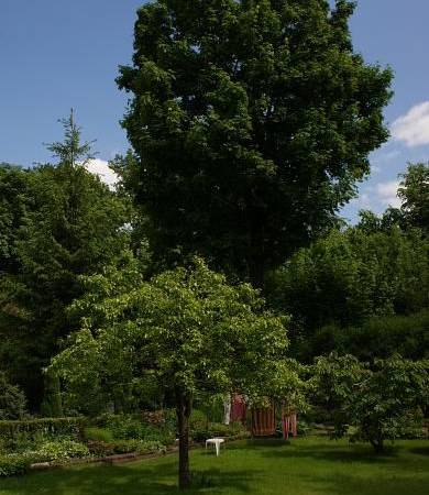 Pokoje Gościnne Sobiesz