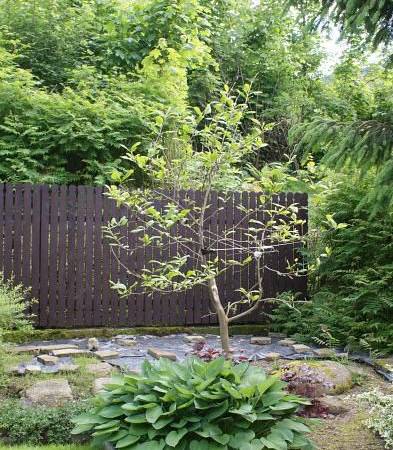 Pokoje Gościnne Sobiesz