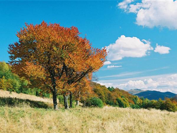 jesień w Bieszczadach