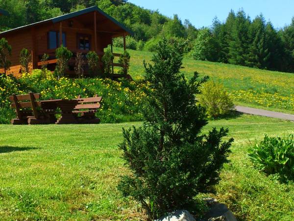 Domki "Na Wzgórzu", Solina 13