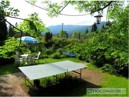 Tenis stolowy. W głębi staw.