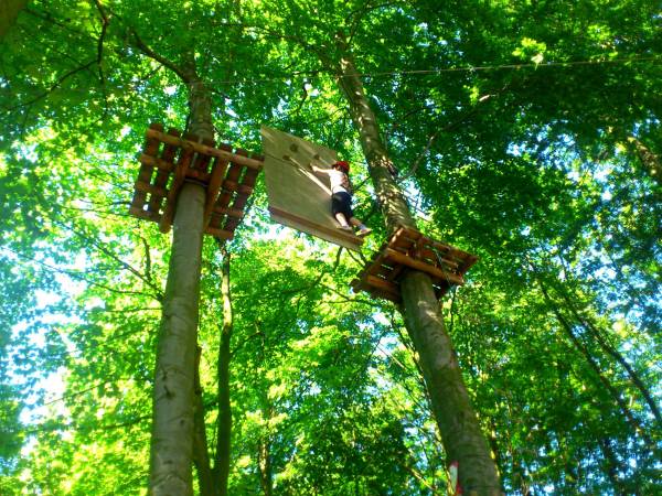 park linowy- 500 m od Willi Horn