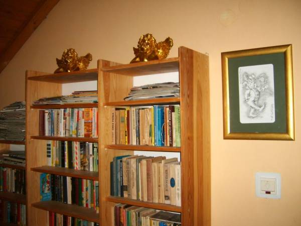 Biblioteka na galerii w salonie