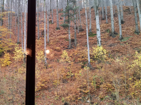 Wisła Czarne Mieszkanie dla Turystów