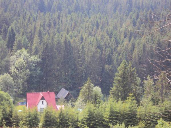 Dom Leśny Agroturystyka