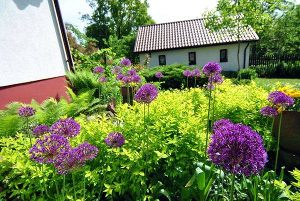 Spokój, pejzaże, dyskrecja