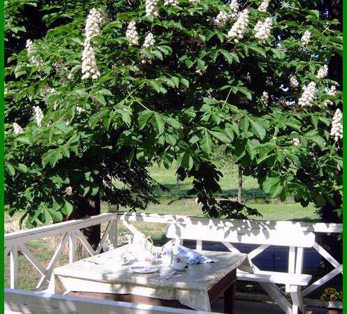 Pensjonat pod kasztanem