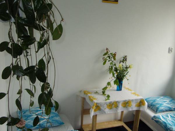 Noclegi Rysi Stok