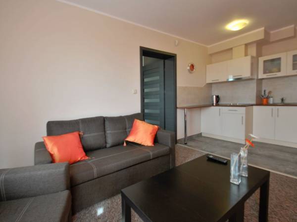 apartament - pokój dzienny z aneksem kuchennym