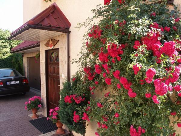 Dom Pod Dobrym Aniołem - Jastarnia