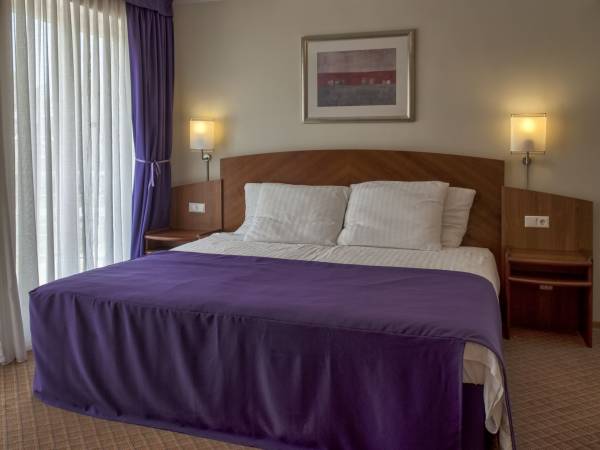 Fioletowa Jedynka (pokój 2osobowy)