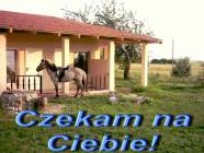 TerraJa Agroturystyka 