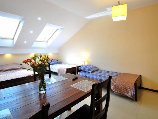 widok od strony aneksu kuchennego