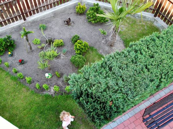 Apartamenty i pokoje Ara