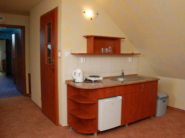 pokój z aneksem na poddaszu