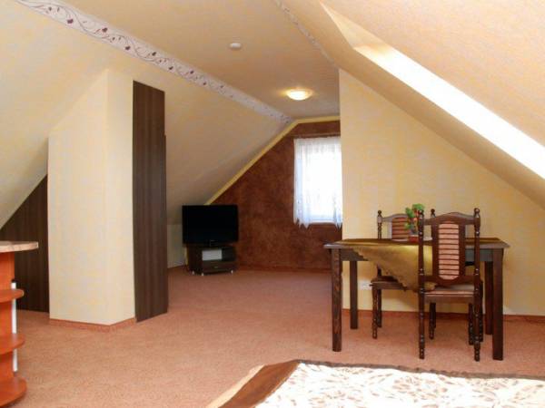 pokój typu studio na poddaszu