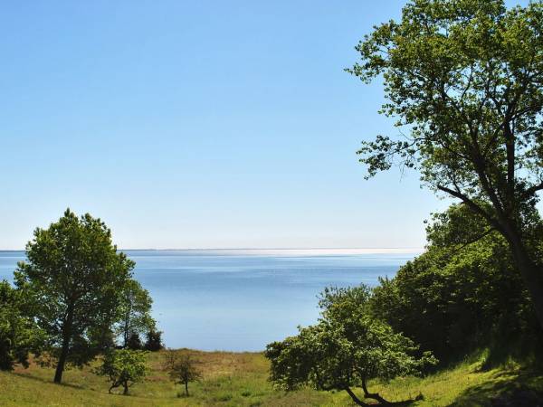 widok z naszej dzialki