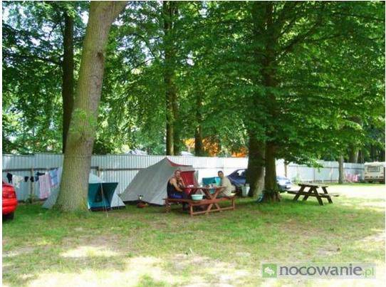 Pole namiotowe - Campery