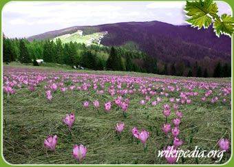 Pokoje Gościnne Duda