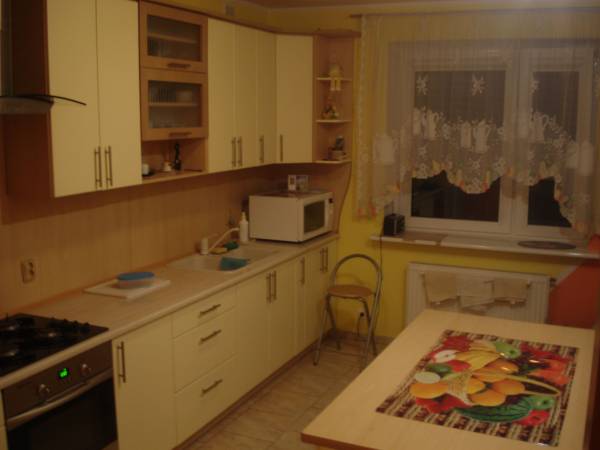 apartament - kuchnia