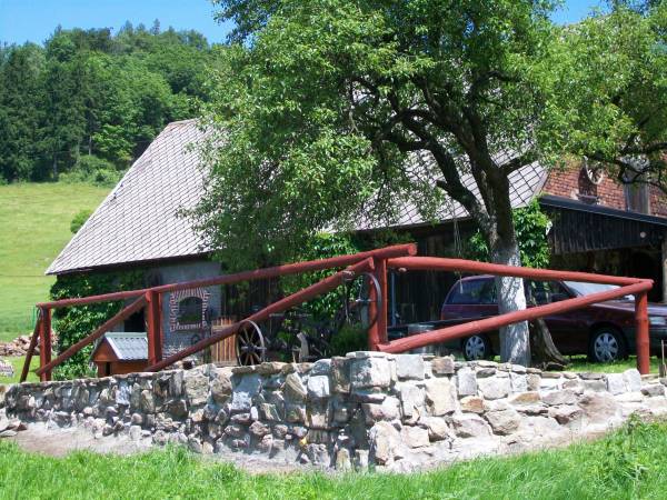 Gospodarstwo Agroturystyczne Dora