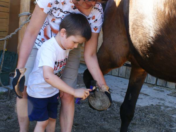 Gospodarstwo Agroturystyczne Antoniew