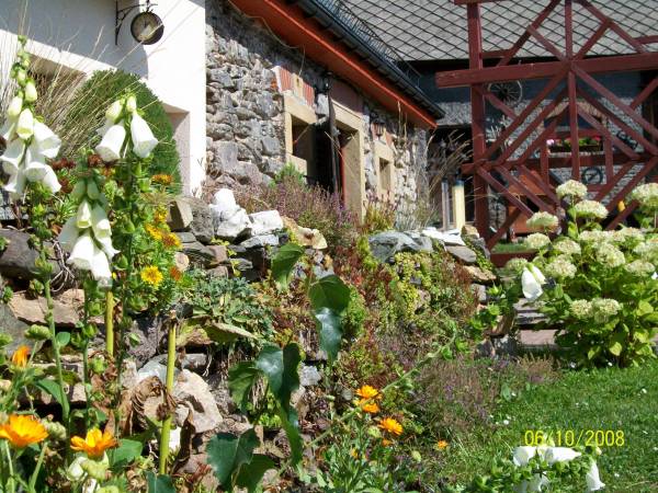 Gospodarstwo Agroturystyczne Dora