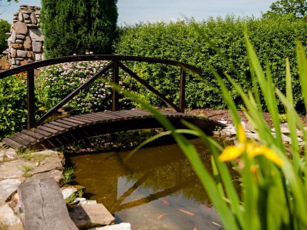 Agroturystyka Willa Platan