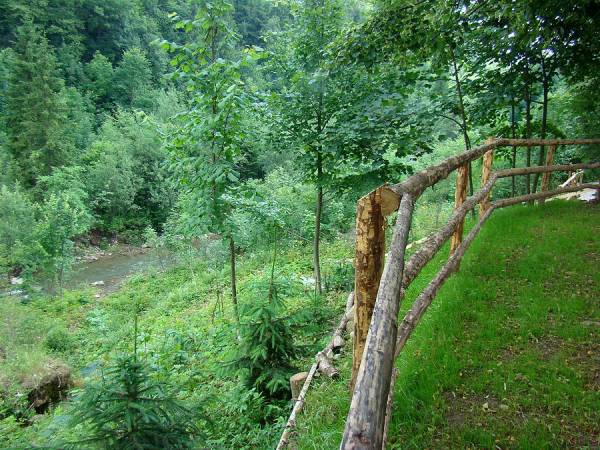 Apartamenty Pod Lipami