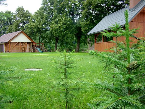 Apartamenty Pod Lipami