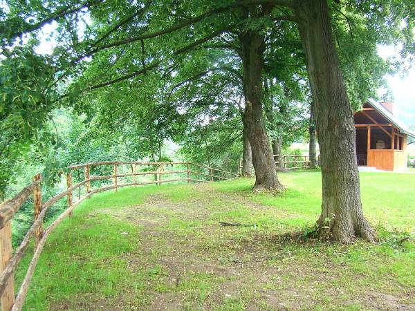 Apartamenty Pod Lipami