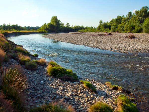 Flamandia & Willa Leśna