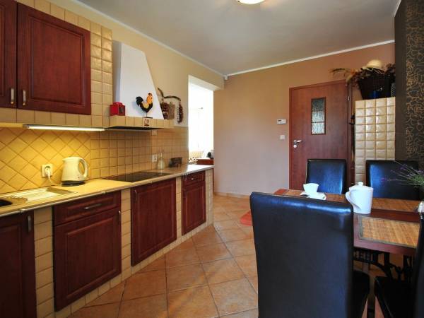 Apartament Kapitański kuchnia