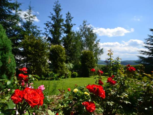 Pensjonat Willa Pienińska