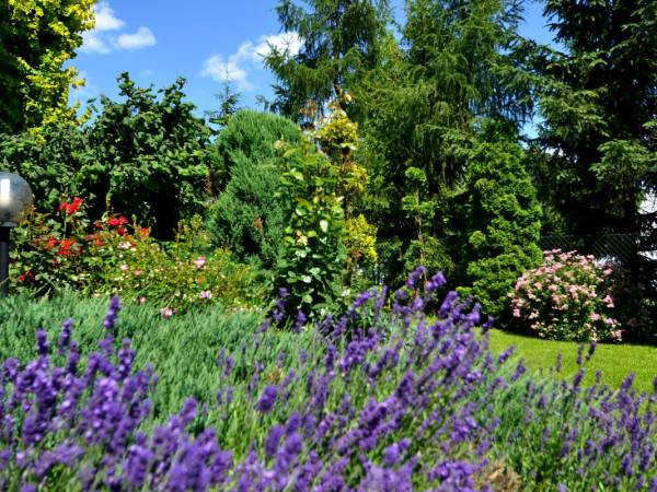 Pensjonat Willa Pienińska