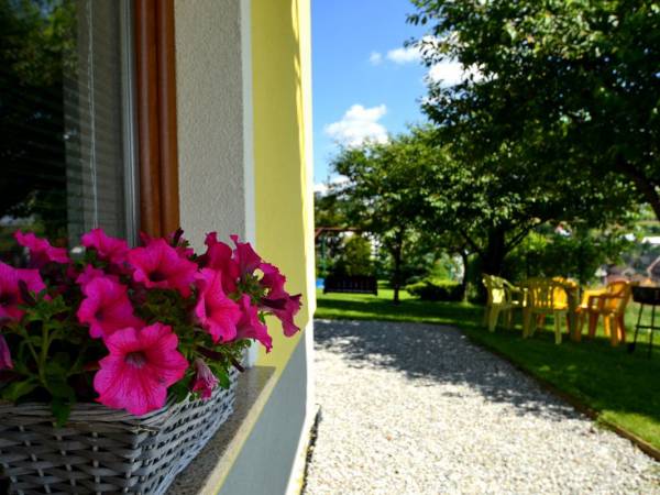 Pensjonat Willa Pienińska