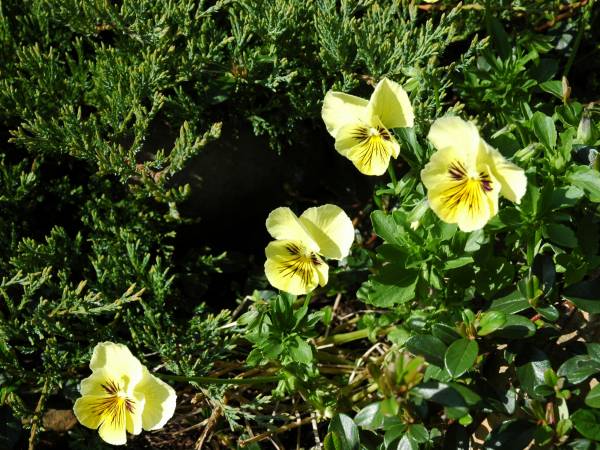 Pokoje Gościnne Aleksandra 