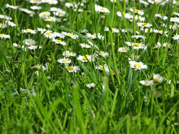 Pokoje Gościnne Aleksandra 