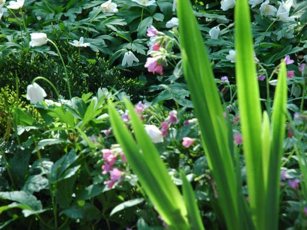 Pokoje Gościnne Aleksandra 