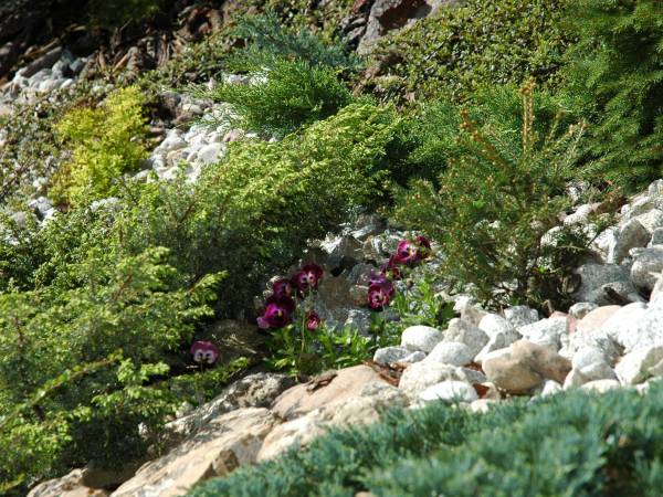 Pokoje Gościnne Aleksandra 