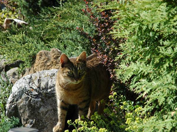 Pokoje Gościnne Aleksandra 
