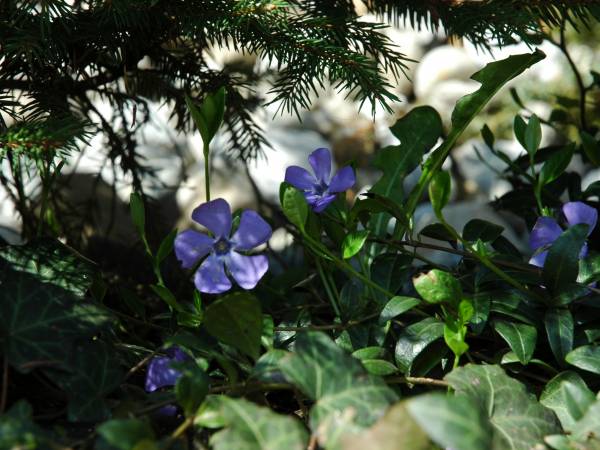 Pokoje Gościnne Aleksandra 