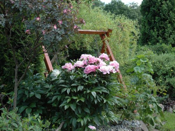 Pokoje Gościnne Aleksandra 