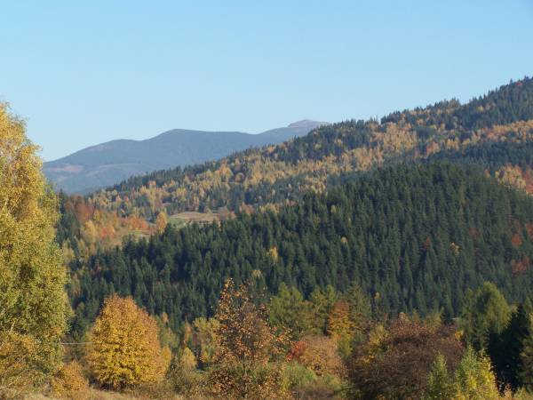 KRAJOBRAZ KORBIELOWA